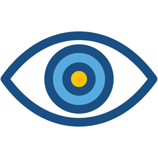 Vision